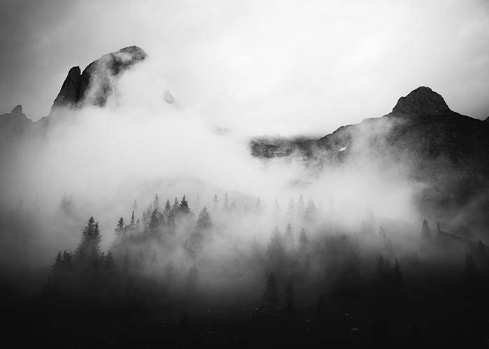 Fog study — placeholder photograph